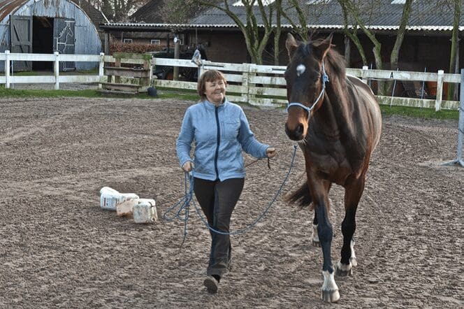 Voorbereiding op het Onverwachte 3 - Sport & Horsemanship United